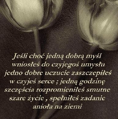 Wpis fajniusia92