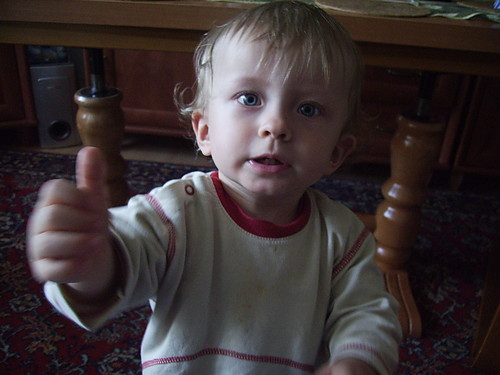 Wpis szyt