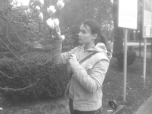 Magnolia...Piekna;)