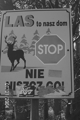 Podpaliam Ci.