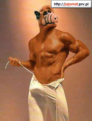 Alf
