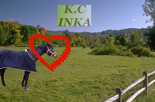 Inka;*