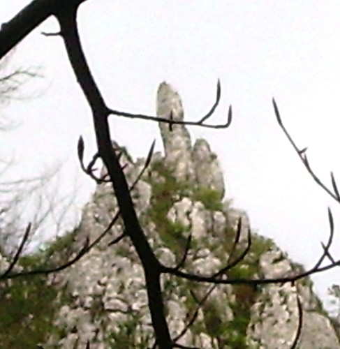 Wpis maciuus
