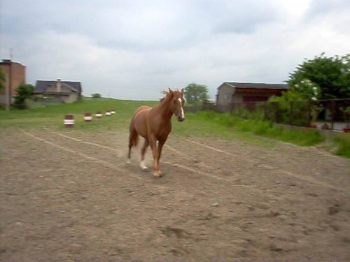 Wpis 19koniekocham92