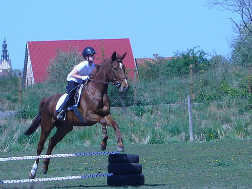 Wpis czarnyifanta1210