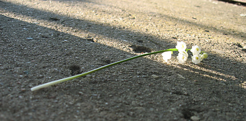 Left behind
