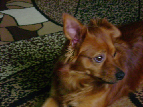 fuxio;*:*:*