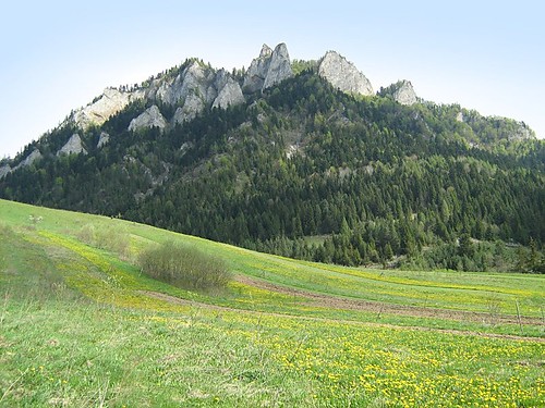 Wycieczka...
