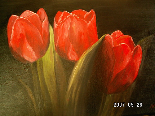 Tulipany