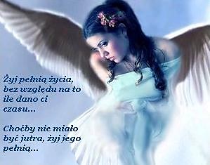 Wpis albaniatko