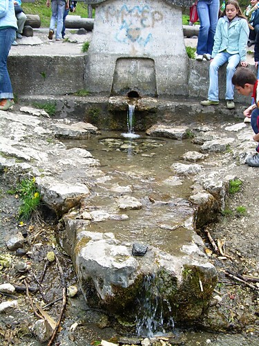 Wpis maciuus