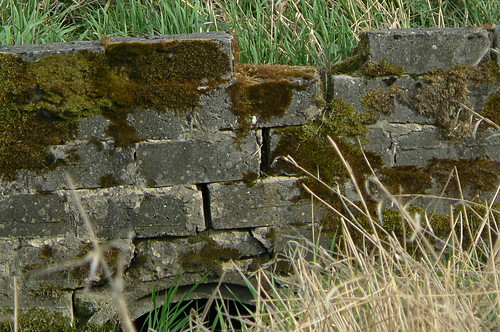 mostek