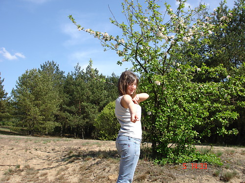 Wpis sunshineladybird01
