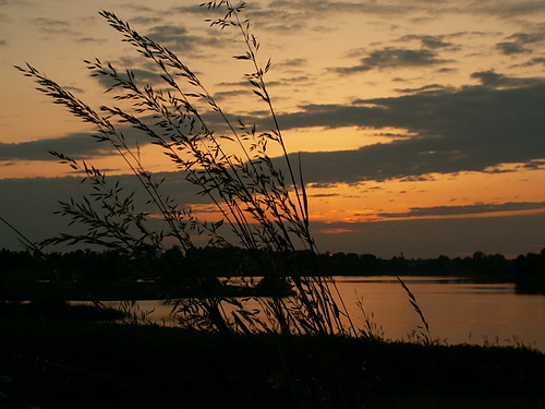 Wpis wolnoscduszy