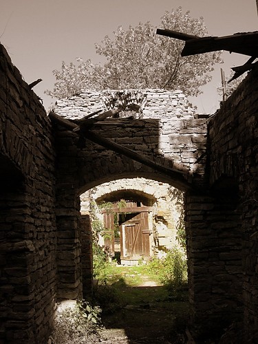 Wspomnienia z domu umarych