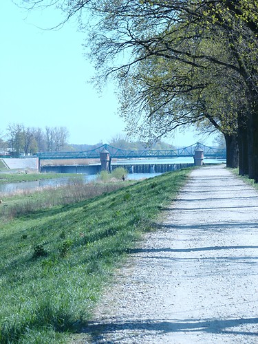 Bartoszowice