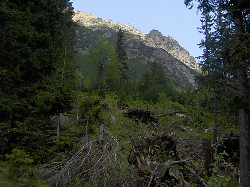 Wpis jedras