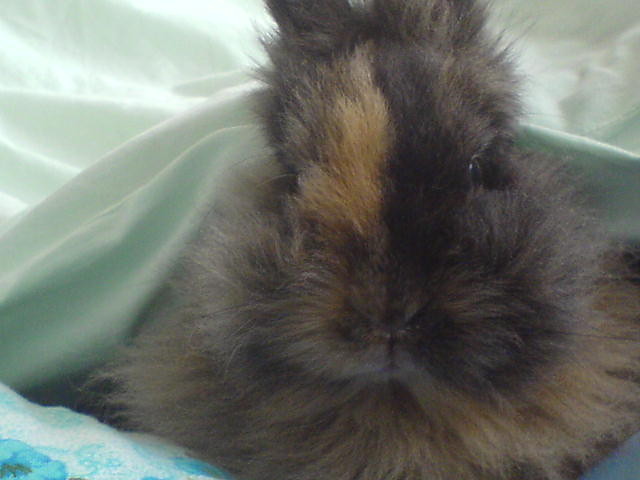 dobranoc =)