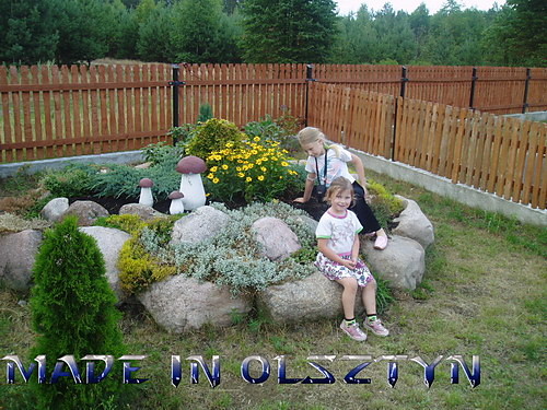 Skalniak =]