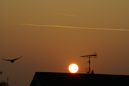 Wschodzce Soce.