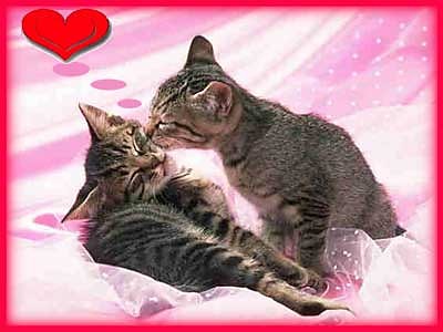 Wpis friendmylife