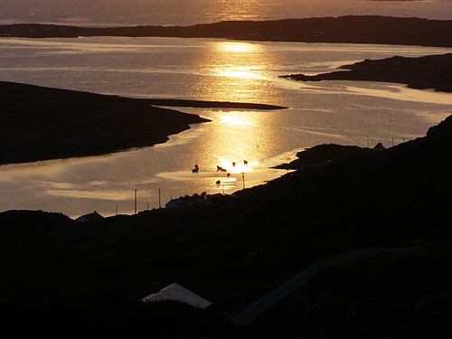 Ocean Atlantycki 