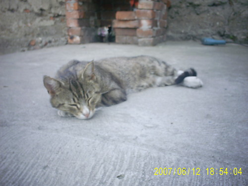 FoOtkA :)
