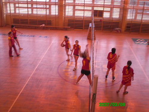 volleybal