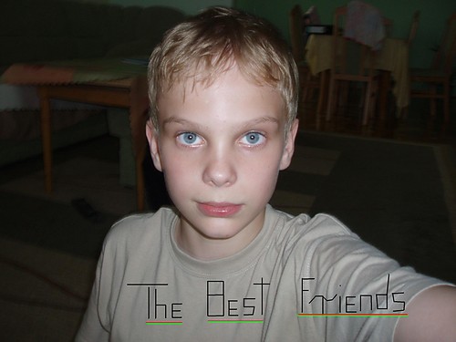 THE BEST FRIENDS