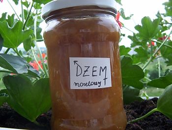 IRA i Dem... morelowy ;)