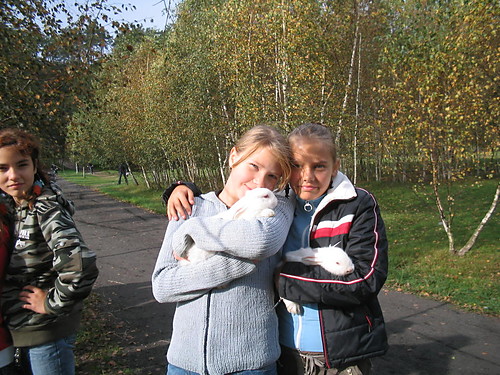 Wpis psiapsiolki941