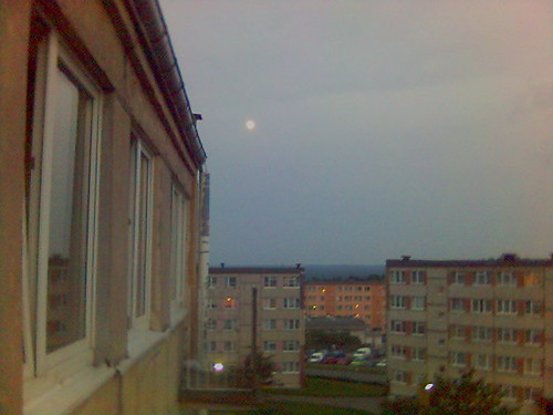 WidoKsica