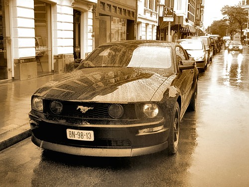 Mustang!