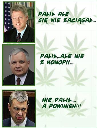 fajne to jest