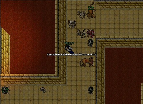 29 lvl!!