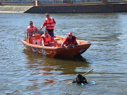Manewry Wrocaw 2007