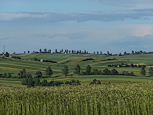 sielanka