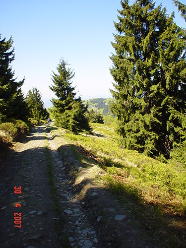 Wpis drzwidolasu