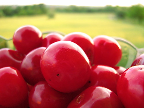 Wini Smak ...