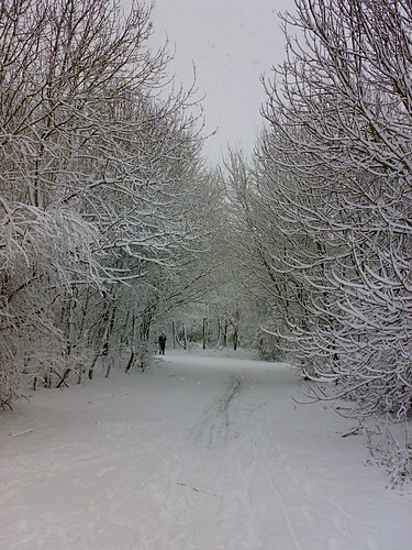 road to nowhere...