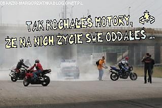 spoko