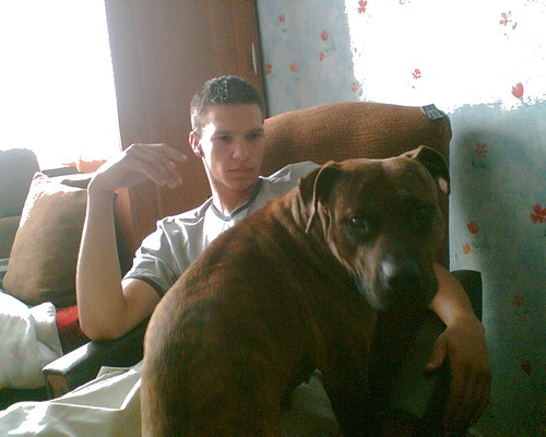 Wpis navcza