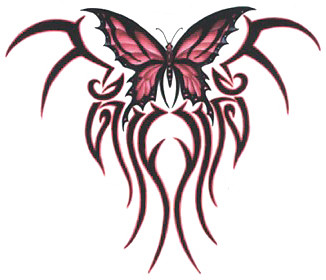 Wpis paulinula