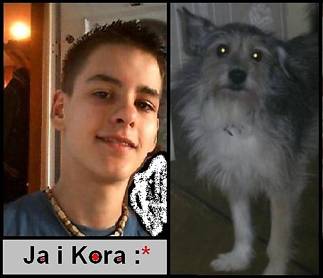 brak sw