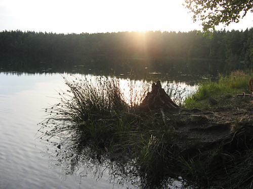 Samotnia
