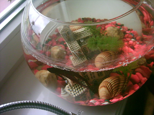 Moja Rybeka:*