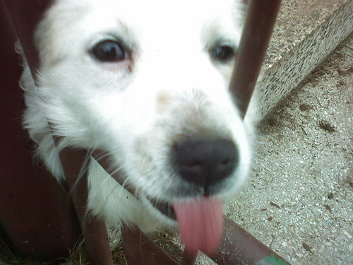 Tosia. :]