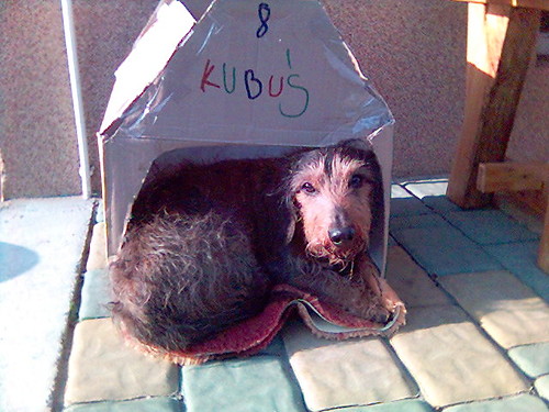 Kuboluk