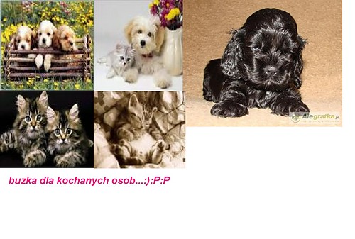 to dla kochanych osobek....:P