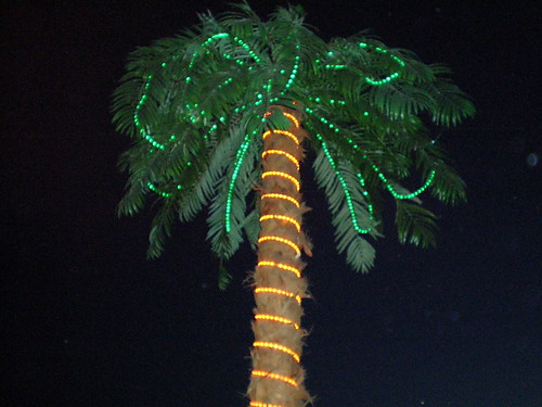 Pod palmami... :D